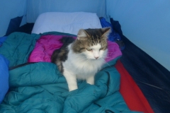 Bert at the High Camp