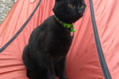 Boris at the High Camp