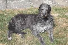 Brandy getting ready for the High Camp