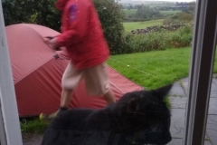 High Camp - Nigel Wadsworth, Docker