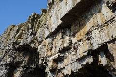 Andy Stewart, Paul O'Reilly - The Whaler, Stackpole Head, Pembroke. Photo - Trystan Lowe
