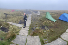 High Camp 2021 - the early Bunting gets the worm! Photo: Tim Taylor