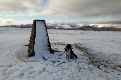 Loadpot Hill. Photo: Betty Hamer
