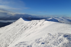 Blencathra. Photo: Betty Hamer