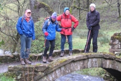 A bridge too far! Photo: Geoff Gosling