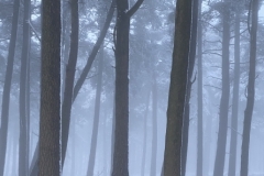 Above Bretton Clough. Photo: John Beatty Above Bretton Clough. Photo: John Beatty