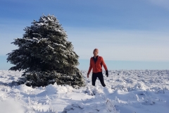 The Kinder Gates Christmas Tree. Photo: Dominic Oughton