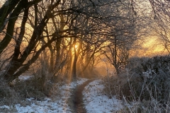 Early morning sun and snow. Photo: Andy Tomlinson