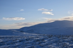 Morven. Photo: Gill Stephens Morven. Photo: Gill Stephens