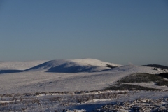 Pressendye. Photo: Gill Stephens Pressendye. Photo: Gill Stephens