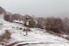 Eccles Pike. Photo: Monika Rohlickova