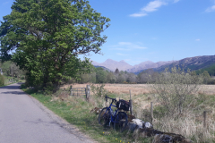 May24-Rest-day-visit-to-Ariundle-woods-Strontian-via-the-Corran-ferry-Photo-John-Rowlands