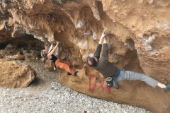 Feb25-Crab-crawling-at-Les-Rotes-Denia-A-Team-on-the-rocks-Photo-Paul-Taylor
