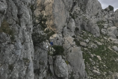 Feb25-Lesser-Spotted-Joe-Fisher-found-on-Bernia-ridge-Photo-Paul-Taylor
