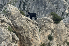 Feb25-Youre-kidding-Fancy-meeting-you-here.Bernia-ridge-Photo-Paul-Taylor