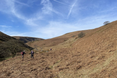 Mar25_WW_Westend_Vally_Blealkow_Photo_Tim_Taylor3