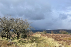 March25-Wednesday-Walk-between-Gun-Hill-and-Shutlingsloe-Photo-Tim-Taylor