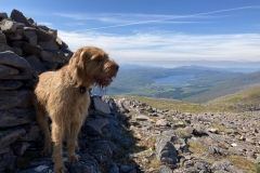 Summit of Fuar Tholl