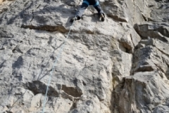 Jim Burton, Horseshoe. Photo: Dominic Oughton