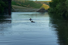 Evening-swim-near-Carding-Mill-Valkey-Church-Streeton.-July2023.-Photo-Rae-Pritchard