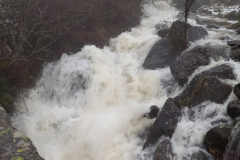 Dec24-‘Stream-behind-High-Moss–Photo-Andy-Llewellyn