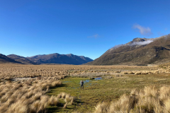 Nov-24-Molly-Worth-hiking-on-the-Te-Araroa-trail-near-Mavora-Lakes-Photo-Lewis-Corlett