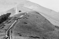 RC-Hot-Pot-Walk-Dec-2024-2-Rob-Jarratt