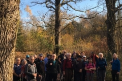 2021 Dinner Meet Sunday Walk up Whitbarrow.