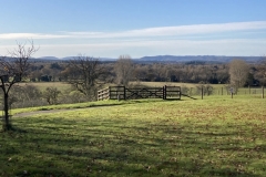 Telegraph Hill and the South Downs from High Hurlands, Liphook Photo: Jim Morris